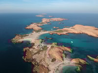 Snorkeltrip op Daymaniyat -eilanden - Housity