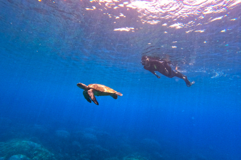 Snorkeling na wyspach DaymaniyatSnorkeling na wyspach Daymaniat