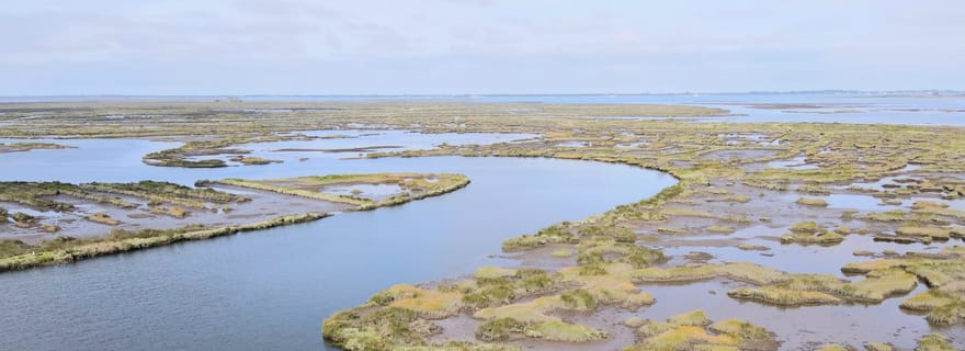Aveiro : sortie en bateau dans la Ria