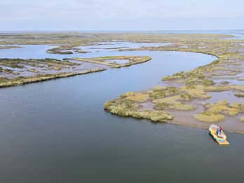 Aveiro: Ria Highlights Boat Tour