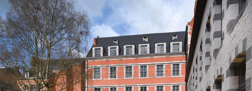 Mons : Le Musée du Doudou