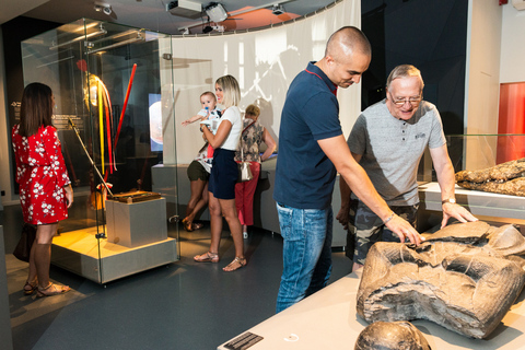 Mons : The Doudou Museum