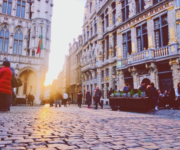 Brussels: Highlights Walking and Bus Tour with Waffle