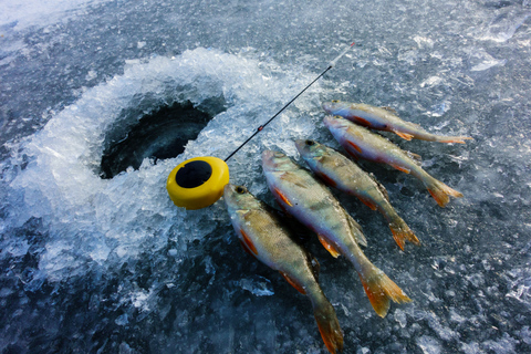 Rovaniemi: passeio de quadriciclo e pesca no gelo