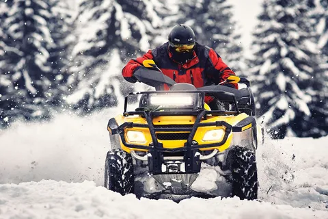 Rovaniemi: Paseo en quad y pesca en hielo
