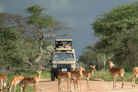 Arusha: 3-dagarstur till Serengeti och Ngorongoro-kraternArusha: Safari på Serengeti och Ngorongoro Crater Lodge