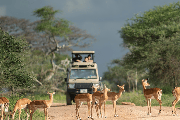 Arusha: 3-dagarstur till Serengeti och Ngorongoro-kraternArusha: Safari på Serengeti och Ngorongoro Crater Lodge