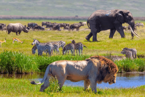 Arusha: 3-dagarstur till Serengeti och Ngorongoro-kraternArusha: Safari på Serengeti och Ngorongoro Crater Lodge