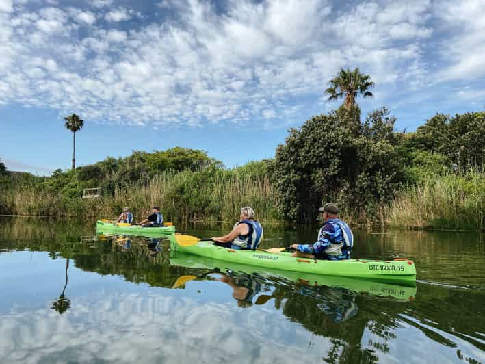 Intaka Island Kayak Tour | GetYourGuide