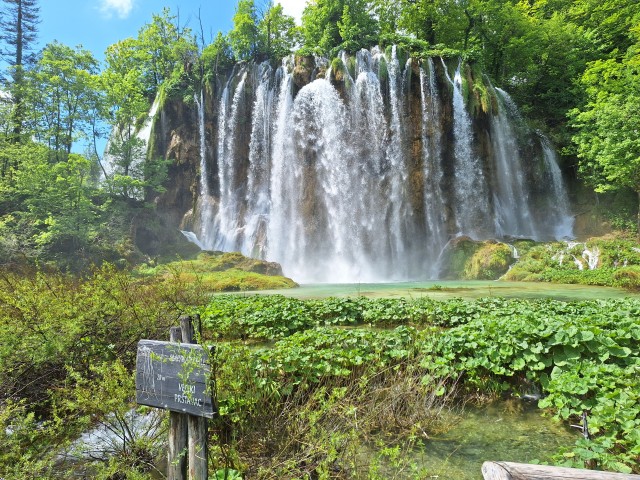 Visit Local tour at Plitvice in Plitvice Lakes National Park