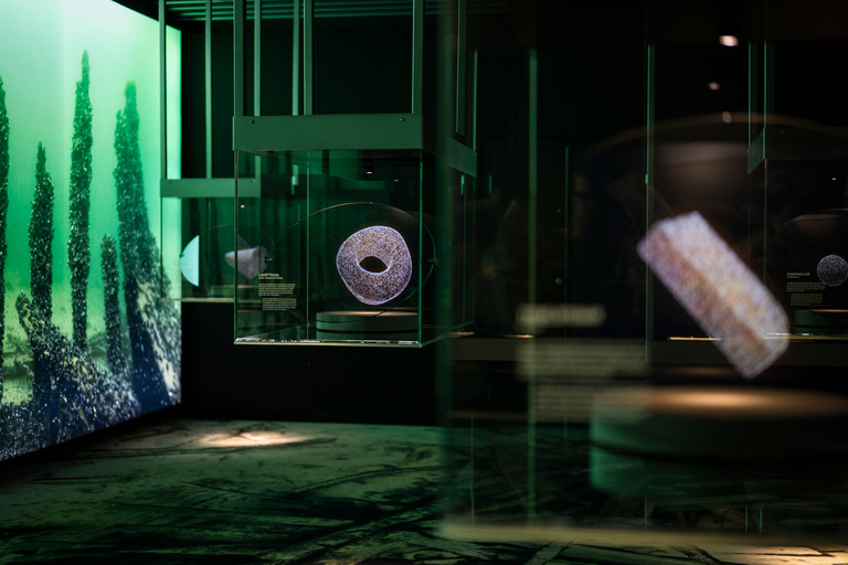 Stockholm: Vasa Museum and Vrak Museum of Wrecks Combo Entry