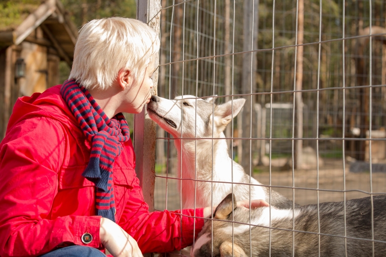 Rovaniemi: Safari en quad, visita a la granja de renos y huskys