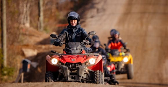 Rovaniemi: Quad-Safari und Tier-Tagestour