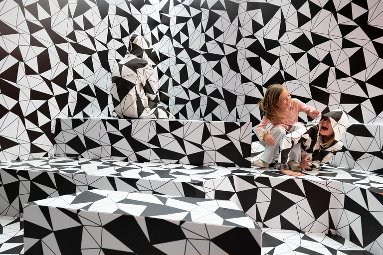 Paris: Paradox Museum Paradox Museum Biljetter