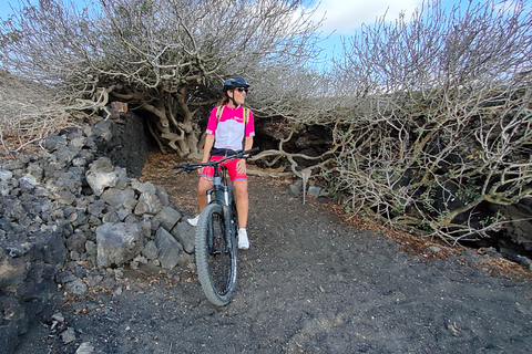 Lanzarote: Guided ebike tours of the Timanfaya volcanoes