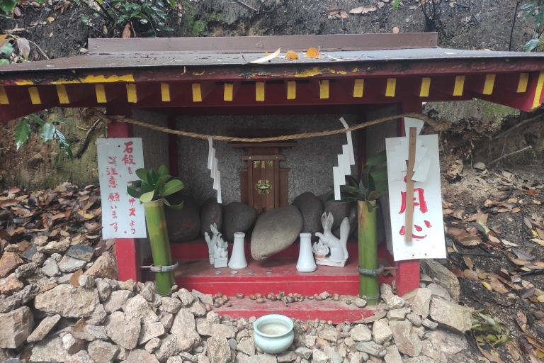 Hiroshima: trektocht in de vroege ochtend met theeceremonieVeganistisch ontbijt, yoga en theeceremonie in de buitenlucht