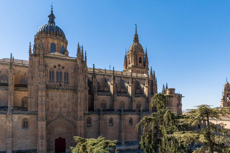 Salamanque : Billet pour la cathédrale de Salamanque avec audioguide