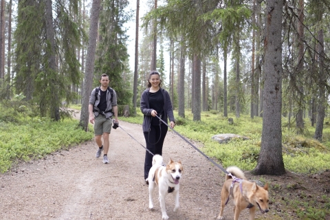 Rovaniemi: Piesze wędrówki z psami lapońskimi