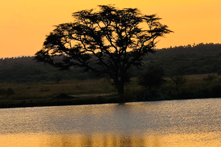 Nairobi Park Safari, Sheldrick's Orphanage & Giraffe Center Shared Drive in Open-Roof Van Game Drive