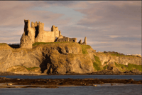 Aus Edinburgh, Rossyln Chapel & North Berwick Day Tour - Housity