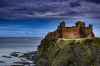 Aus Edinburgh, Rossyln Chapel & North Berwick Day Tour - Housity