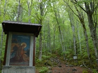 From Sofia, Rila Monastery and St. Ivan Cave Day Trip - Housity