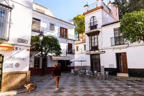 Séville : Visite privée de Santa Cruz