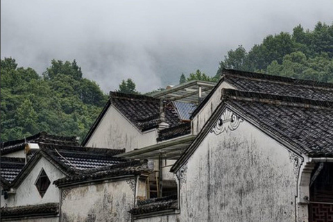 Shanghai: Fuyang Bayberry Picking & Ancient Town Day Trip