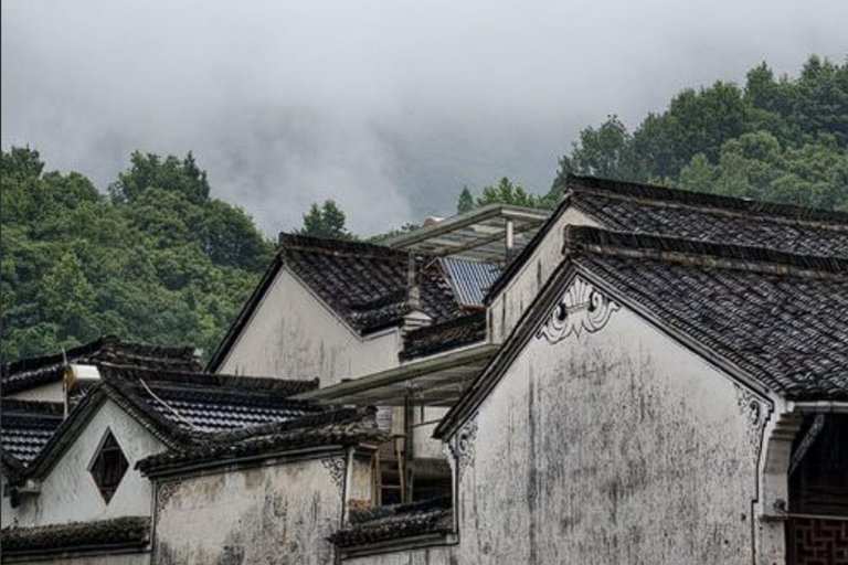 Shanghai: Fuyang Bayberry Picking & Ancient Town Day Trip