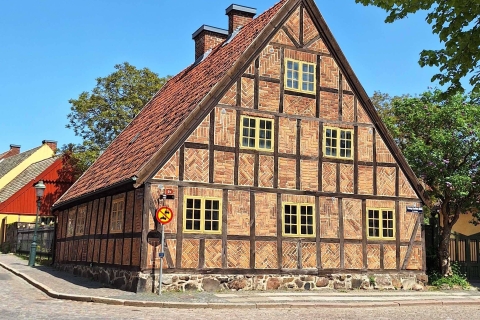 Lund Tour: van middeleeuwse metropool tot hedendaags collegeStandaard Optie