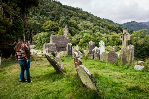 Vanuit Dublin: dagtrip naar Glendalough, Wicklow en KilkennyGlendalough, Wicklow, Kilkenny & kuddehondenwerk