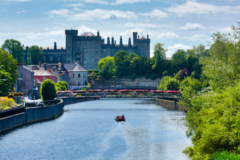 Vanuit Dublin: dagtrip naar Glendalough, Wicklow en KilkennyGlendalough, Wicklow, Kilkenny & kuddehondenwerk