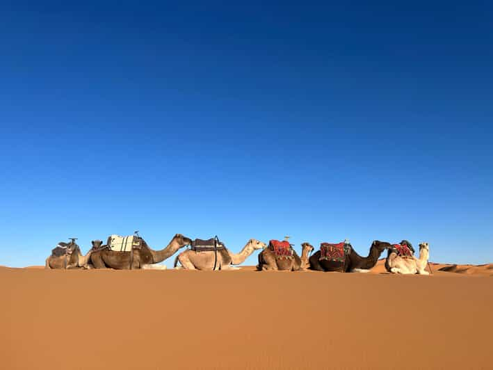 Days Journey Through The Cultural Wonders Of Morocco Getyourguide