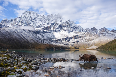 Trekking po jeziorach Gokyo - 10-dniowa przygoda