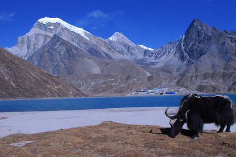 Everest Base Camp Trek with Gokyo Lakes - 16-Day Adventure