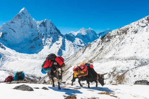 Trek du camp de base de l'Everest avec les lacs de Gokyo - Aventure de 16 jours