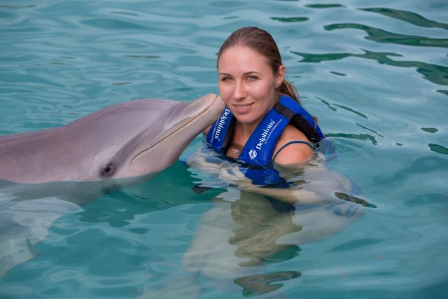 Swim with dolphins Splash - Puerto Morelos