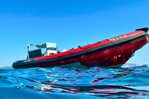 Alcudia: Obserwowanie delfinów o wschodzie słońca z łodzi motorowej