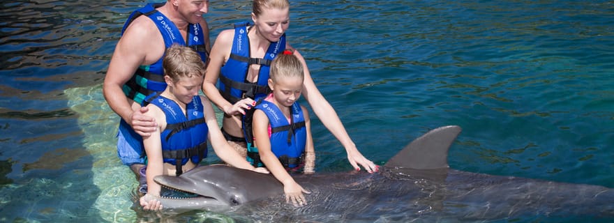 Puerto Morelos : Nager avec les dauphins Primax