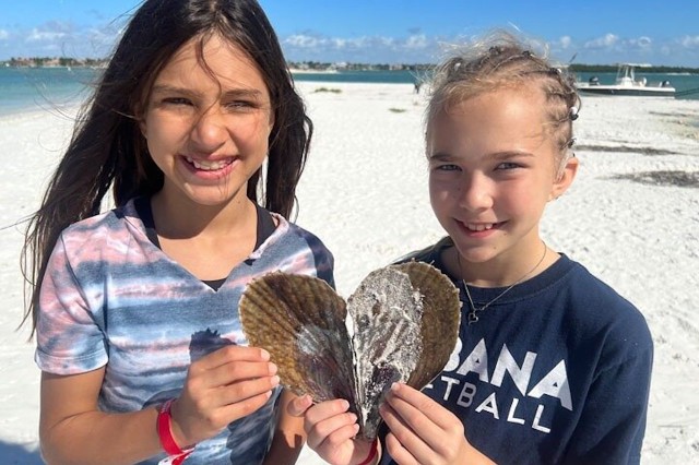 Visit Ten Thousand Islands Barrier Island Shelling Tour in Marco Island, Florida