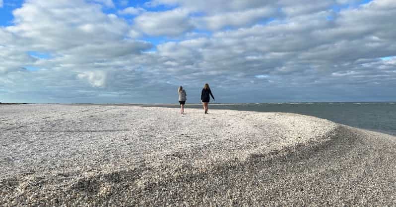 Marco Island: Barrier Island Shelling and Mangrove Tour | GetYourGuide