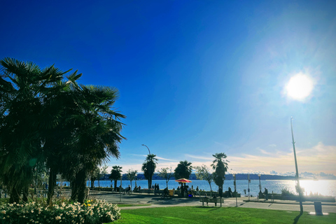 Vancouver Marvels: Private Day Tour Exploring 25 Attractions