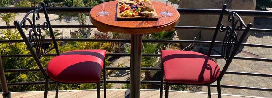 Depuis Ensenada : Tour de vin à la vallée de Guadalupe Ensenada