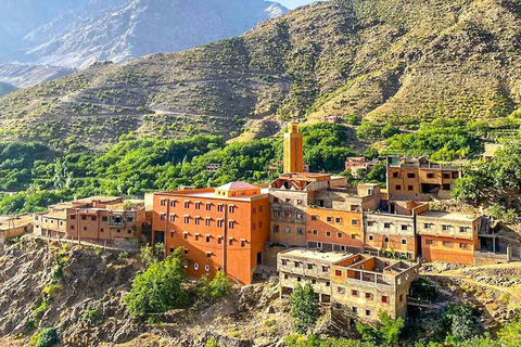 Au départ de Marrakech : Excursion d'une journée dans les montagnes de l'Atlas avec un guide