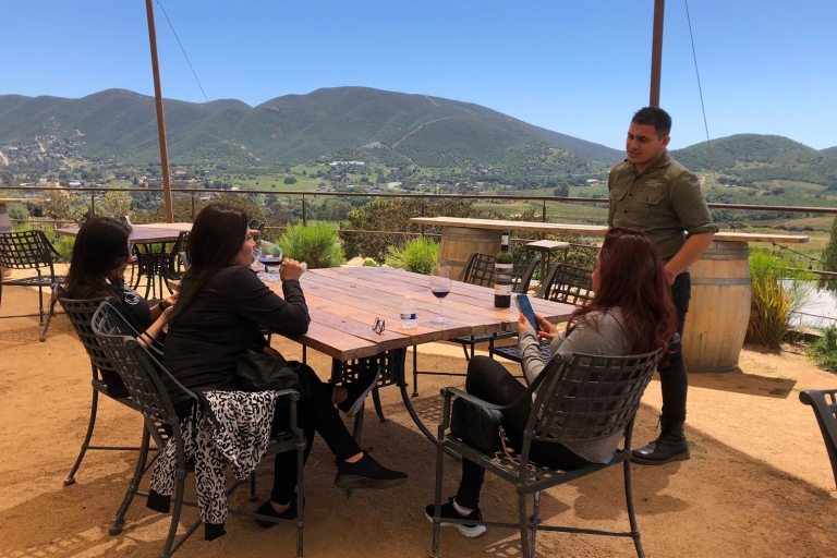 Van Ensenada: wijnproeverij in Guadalupe Valley EnsenadaPrivétour in de wijngaarden van de Guadalupe-vallei en de wijnroute ENS
