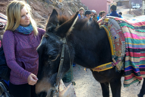 Vanuit Marrakesh: dagtour door het Atlasgebergte met een gids