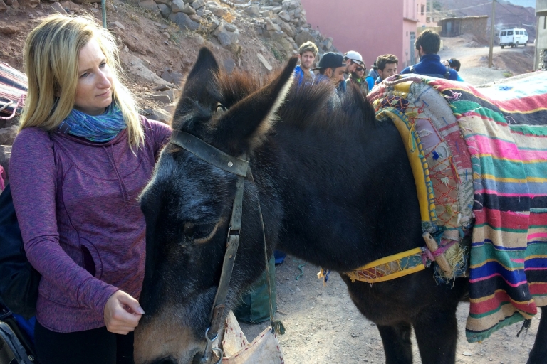 Von Marrakech aus: Atlasgebirge Tagestour mit einem Führer
