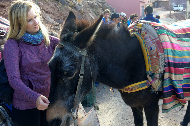 Desde Marrakech: Excursión de un día a las montañas del Atlas con guía