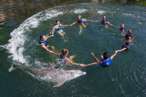 Nadar com golfinhos Splash - Riviera Maya