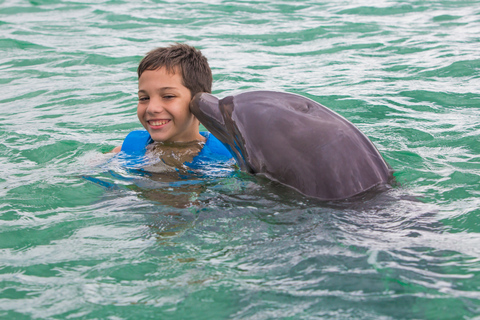 Nadar com golfinhos Splash - Riviera Maya